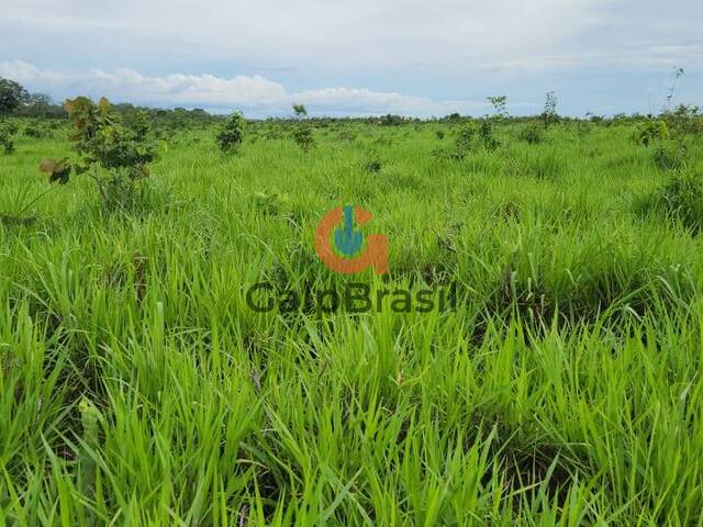 #4 - Fazenda para Venda em Paranã - TO