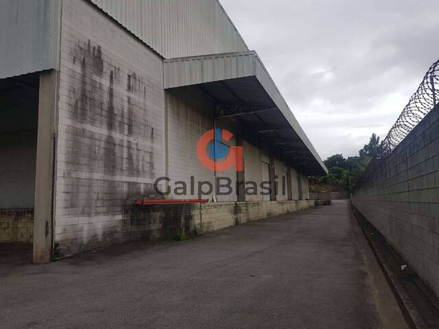 Galpão para Locação em Guarulhos - 4