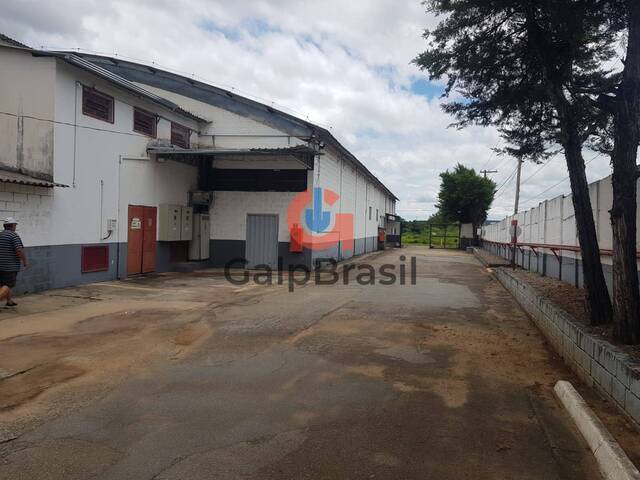 galpão - industrial - Galpão refrigerado para alugar em Jari