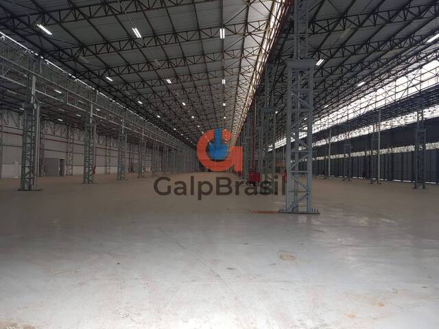 Galpão para Locação em Guarulhos - 5