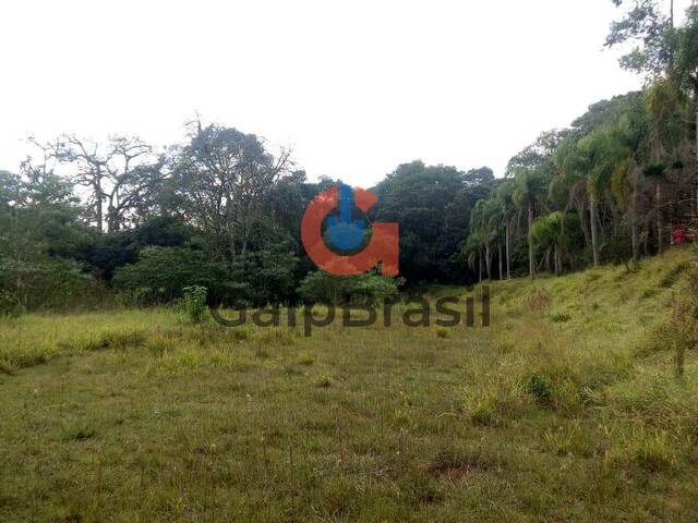 Área urbana ideal para condomínio ou loteamento ecológico.