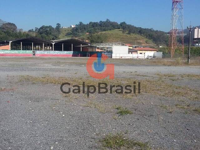 Topografia plana do terreno de 33600m² ideal para grandes p