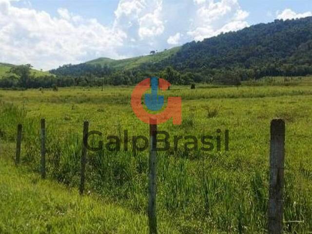 Terreno industrial plano com mais de 200 metros de frente pa