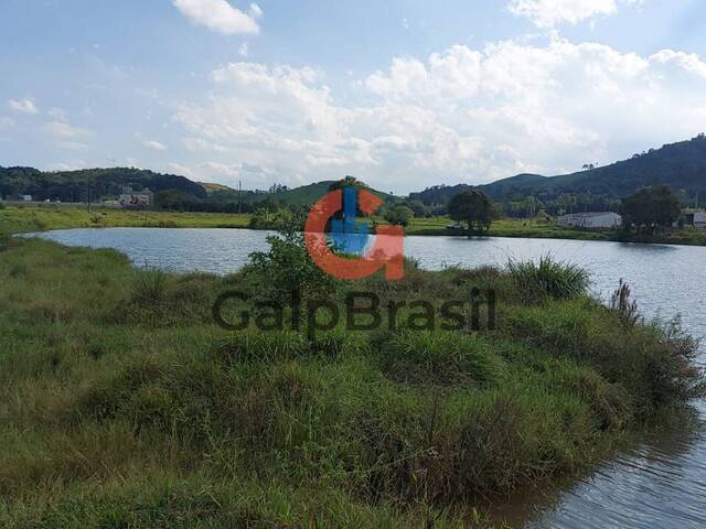 Mais de 200 metros de frente para Rodovia Presidente Dutra, 