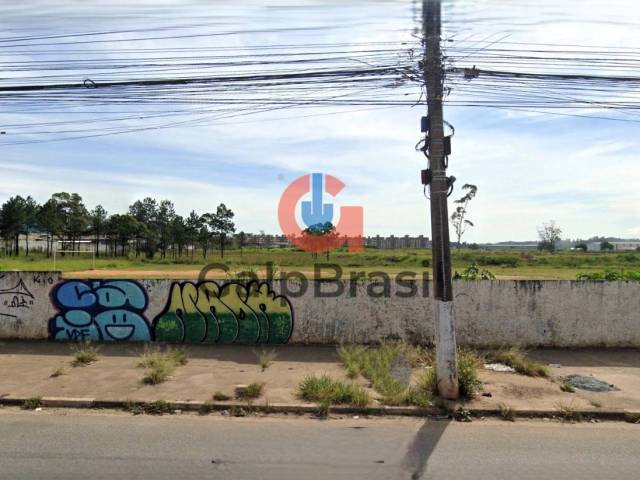 Área para Locação em Guarulhos - 4