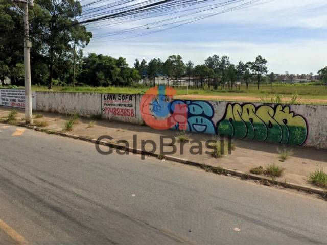 Área para Locação em Guarulhos - 5