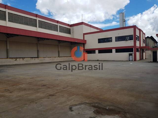 Galpão para Locação em Guarulhos - 4