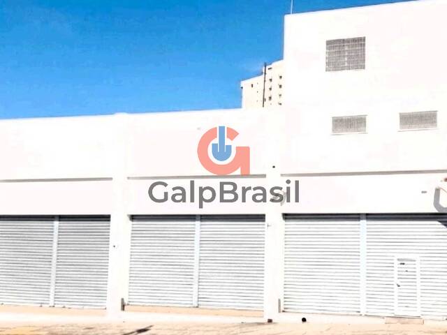 Locação em Vila Albertina - São Paulo