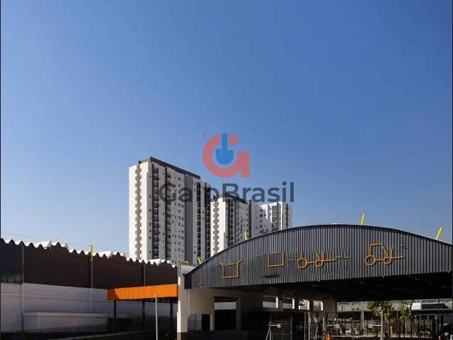 Galpão para Locação em São Paulo - 5