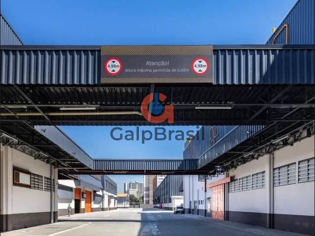 Galpão para Locação em São Paulo - 5