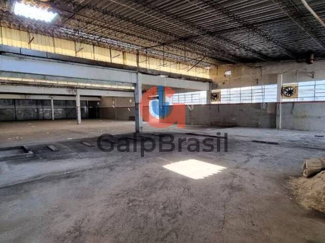 Sala para Locação em Guarulhos - 2