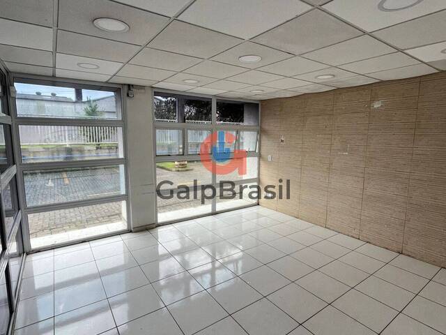 Galpão para Locação em Guarulhos - 4