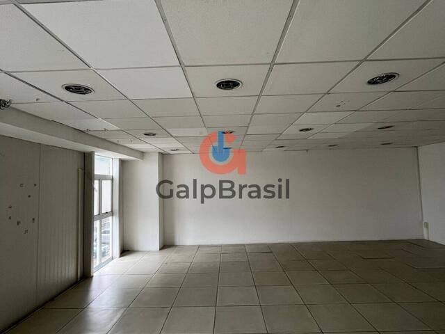 Galpão para Locação em Guarulhos - 5