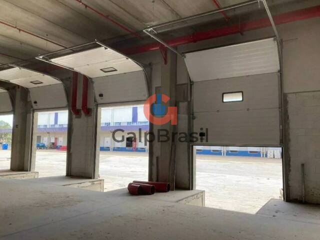 Galpão para Locação em Guarulhos - 4