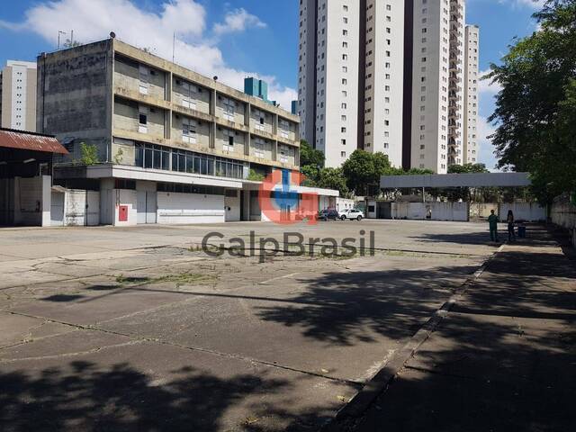 Área para Locação em São Paulo - 4