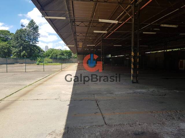 Galpão para Locação em São Paulo - 5