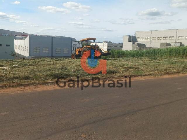 Área plana pronta para construção empresarial